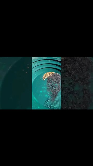 Finding Incredible Gold In New Zealand!