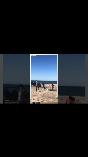 top funny videos 2022, 2022 top ten funny videos, comedy video 2022 ‎@Global Amazing