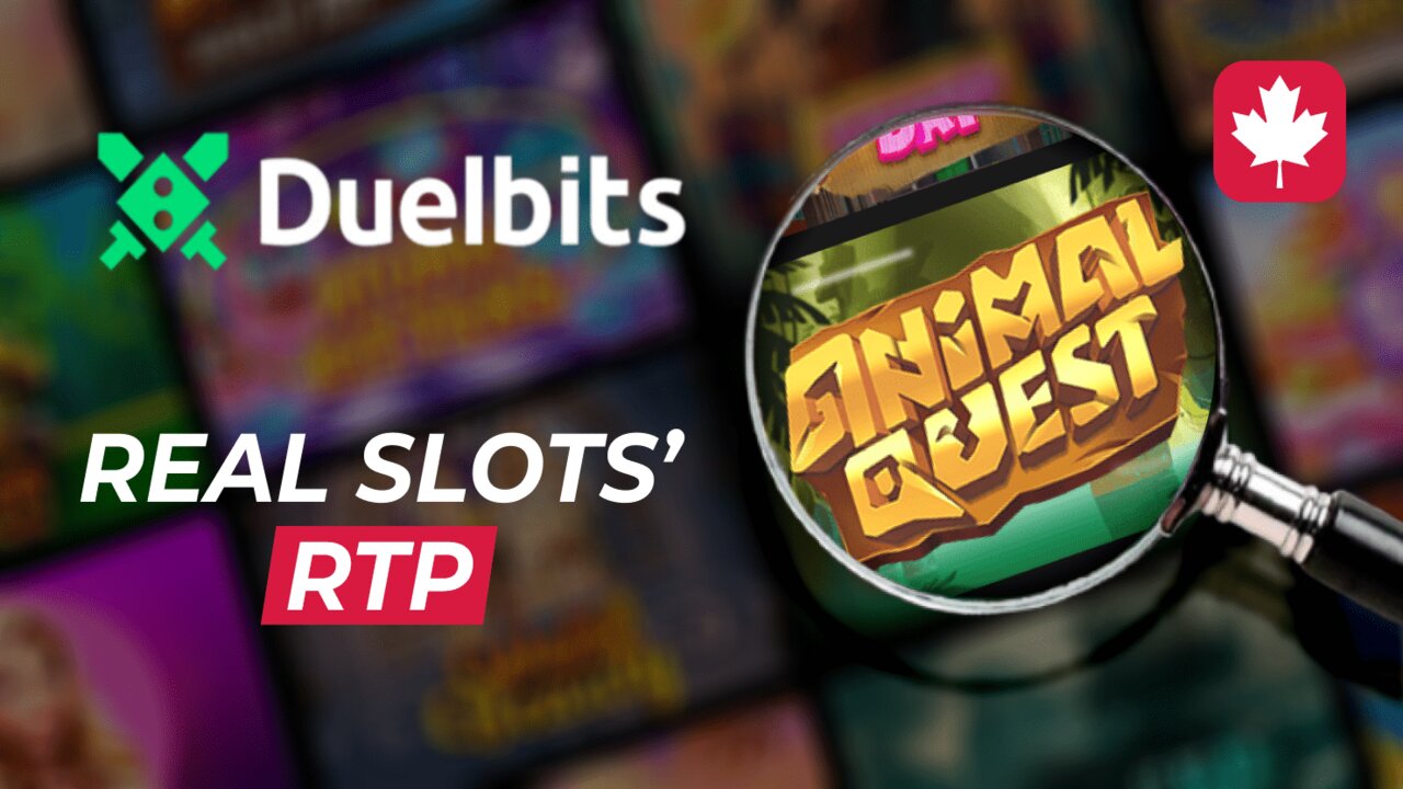 Real RTP and DuelBits Casino's Review