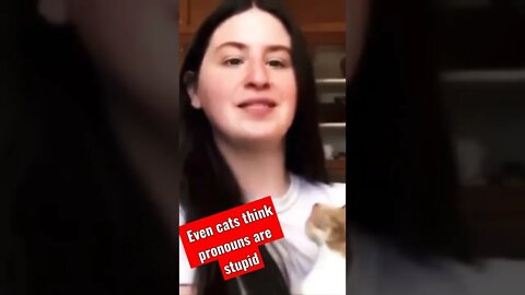 Even cats think pronouns are stupid
