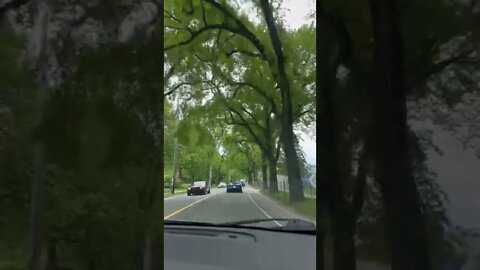 Following a Blue Corvette