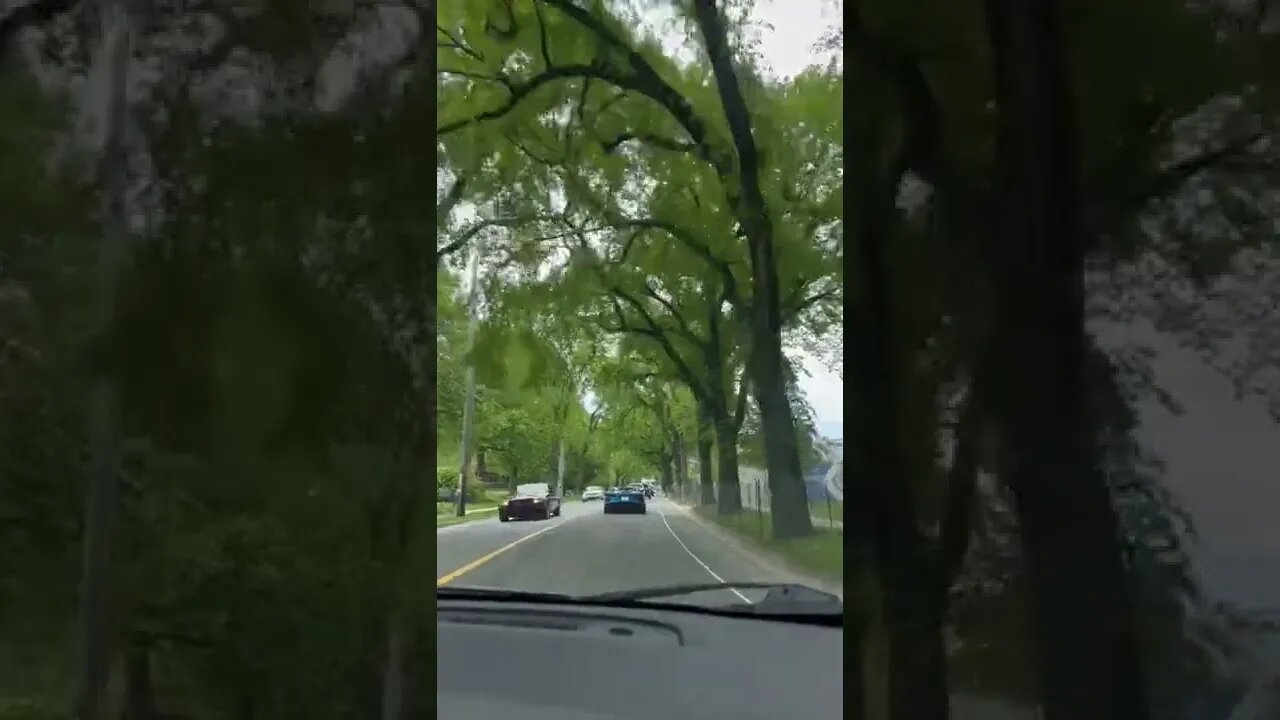 Following a Blue Corvette