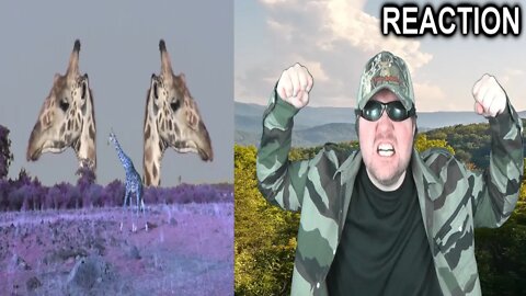 [YTP] National Giraffeic Teaches You Slnimals (cs188) REACTION!!! (BBT)