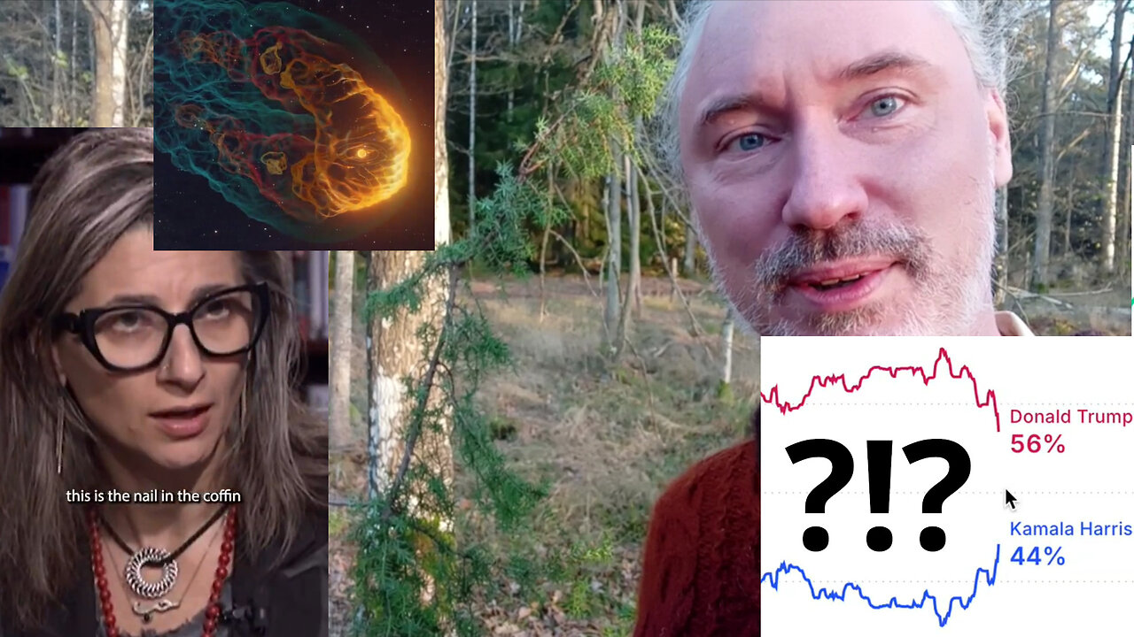 DMSO cures teflon. Baiting & rigging. Terror, trade wars and wars if Trump wins. AI loves you