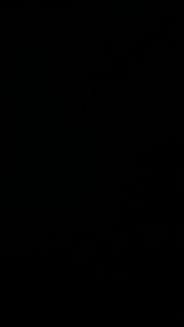 Ribs from a baby animal’s back