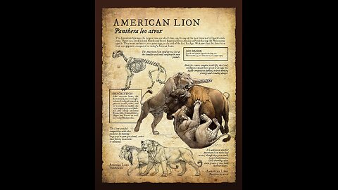 AMERICAN LION