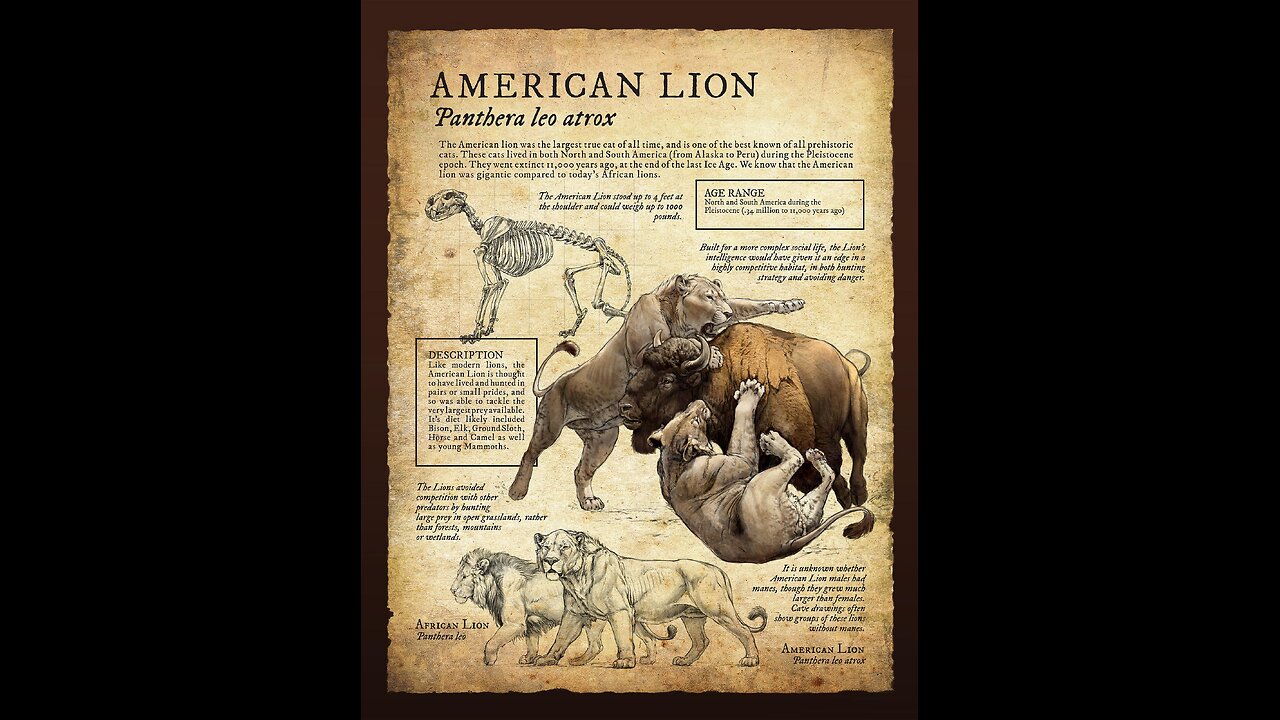 AMERICAN LION