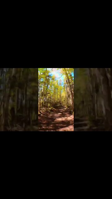 Hyperlapse hiking in Canada