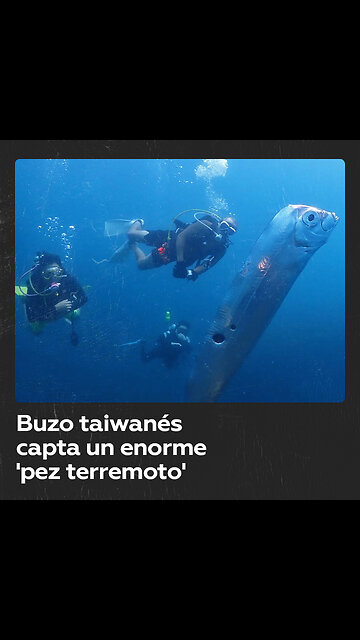 Captan un enorme pez remo que se cree presagia terromotos y tsunamis