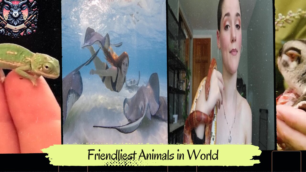 Friendliest Animals in the World