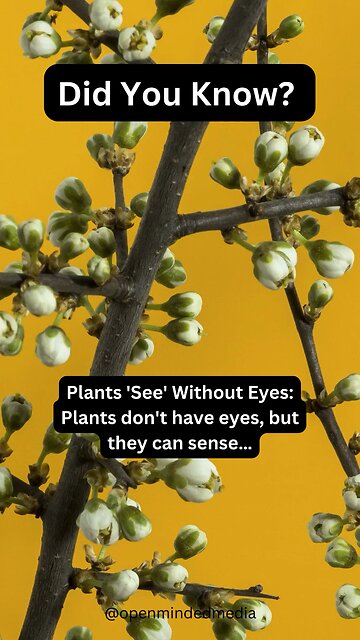 Plants are smarter than most of the Florida drivers I encounter 😂