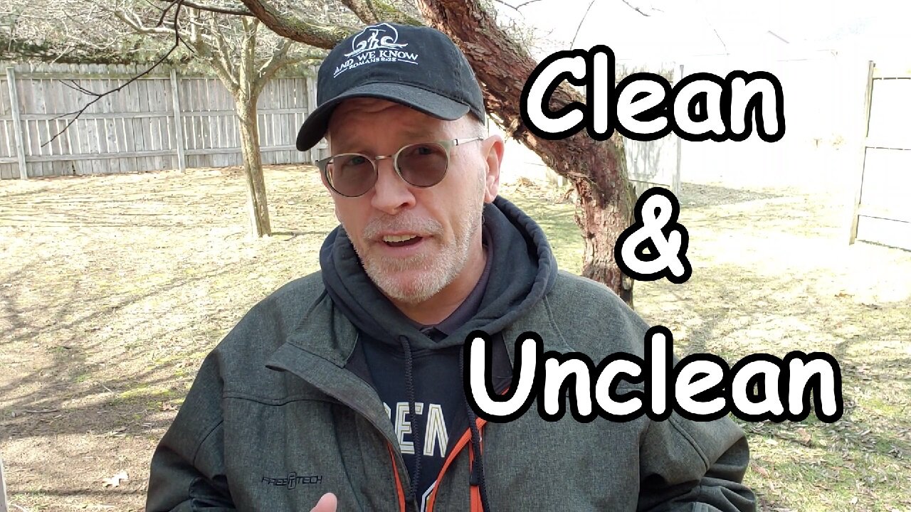 Clean & Unclean: Leviticus 11