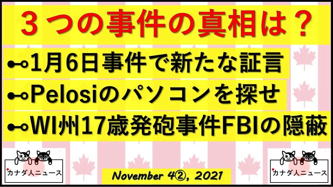 1月6日とFBI/PelosiのPCを探せ/WI州少年事件とFBIの隠蔽