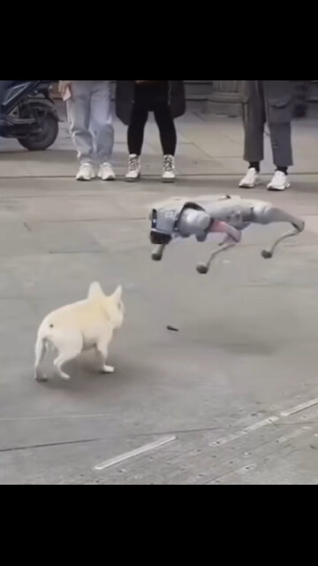 Don't make the mistake of thinking it's innocent ⚠️☠️🔥🛑