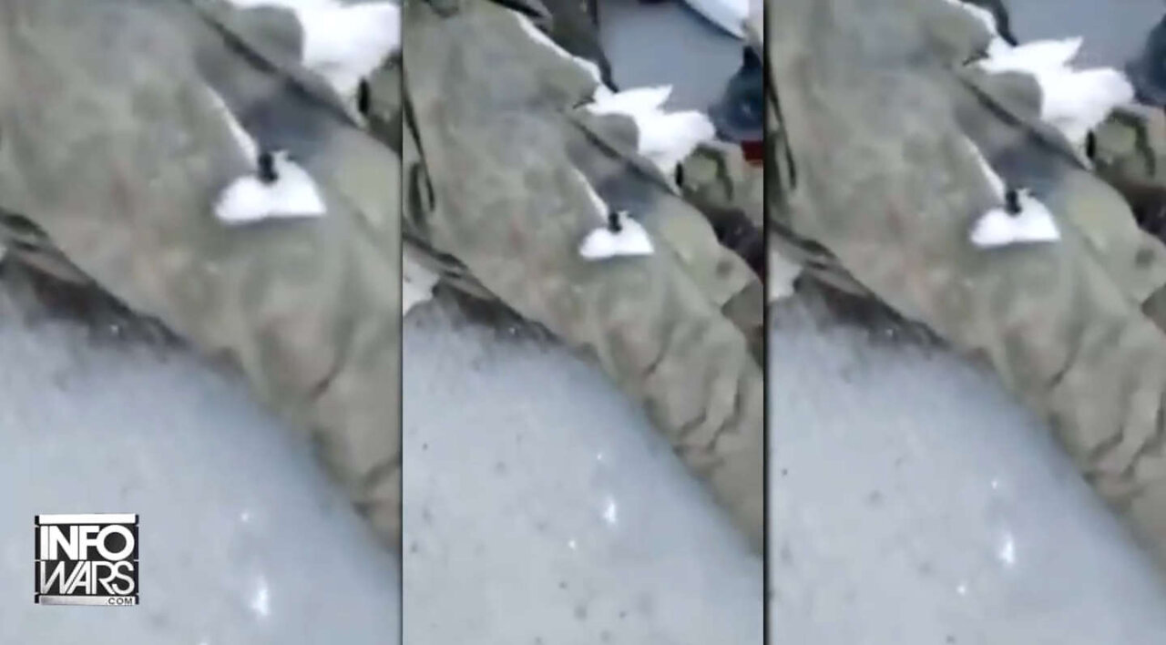 Shocking Video Reportedly Shows Ukrainians Shooting & Torturing Russian POWs