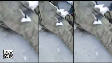 Shocking Video Reportedly Shows Ukrainians Shooting & Torturing Russian POWs