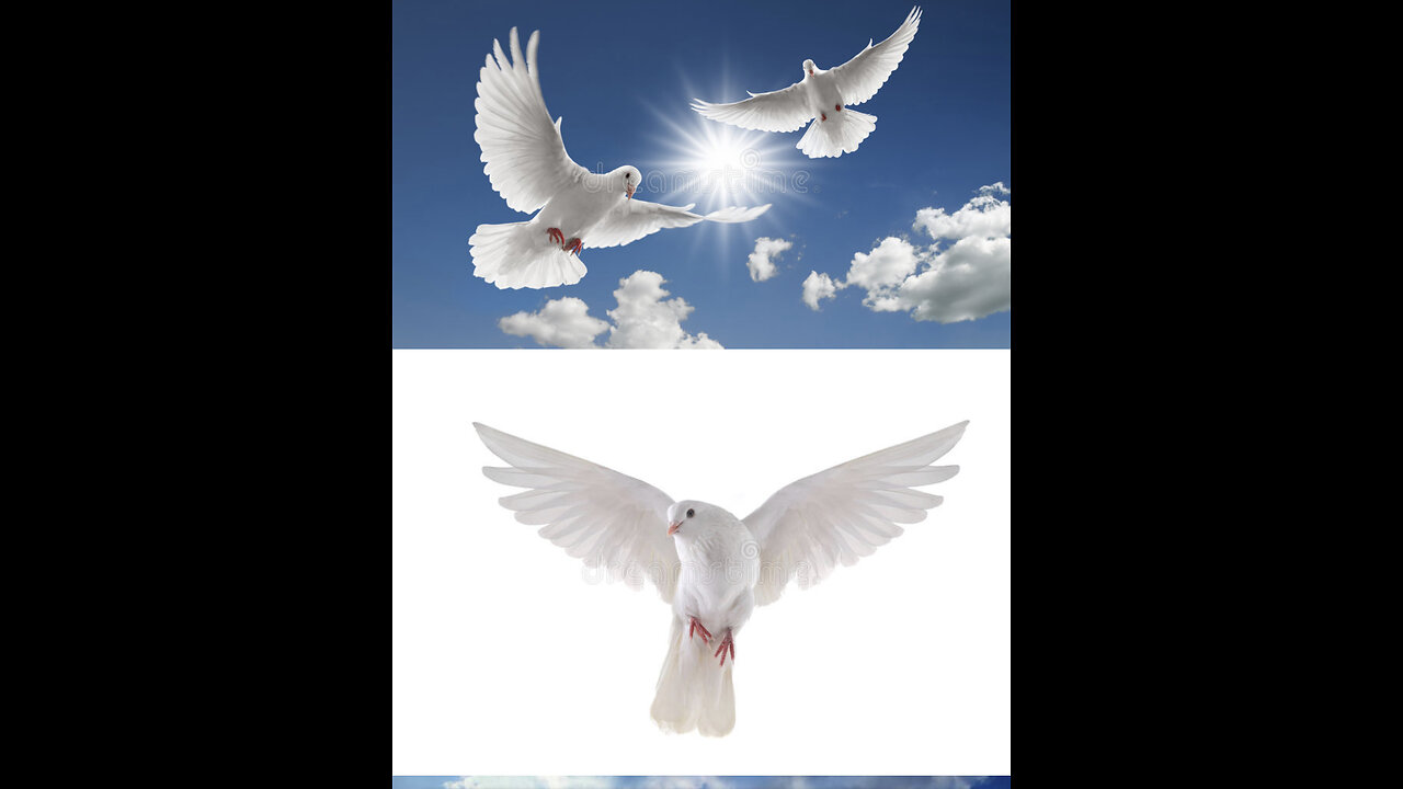 Where Did God Come From?🙋‍♀️