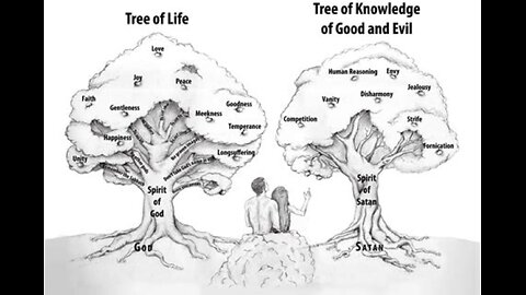 Stop feasting from the tree of KNOWLEDGE