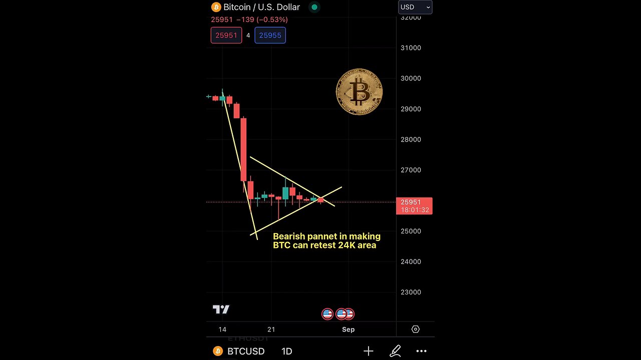 BTC update (bearish pannet)