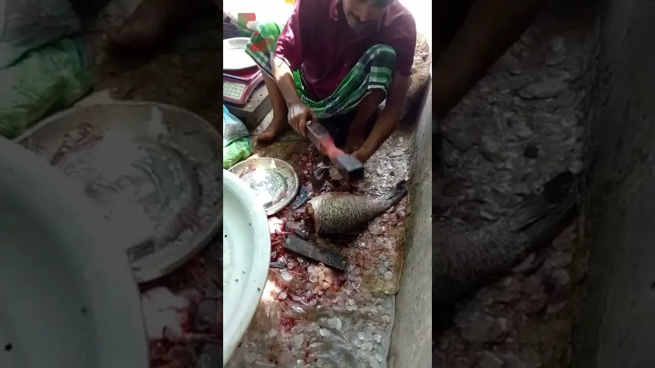 Fish Cutting In Bangladesh #Shorts #shortvideo #viral #subscribe #status