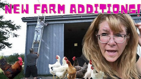 We Lost All Our Chickens And Some New Additions On The Farm!