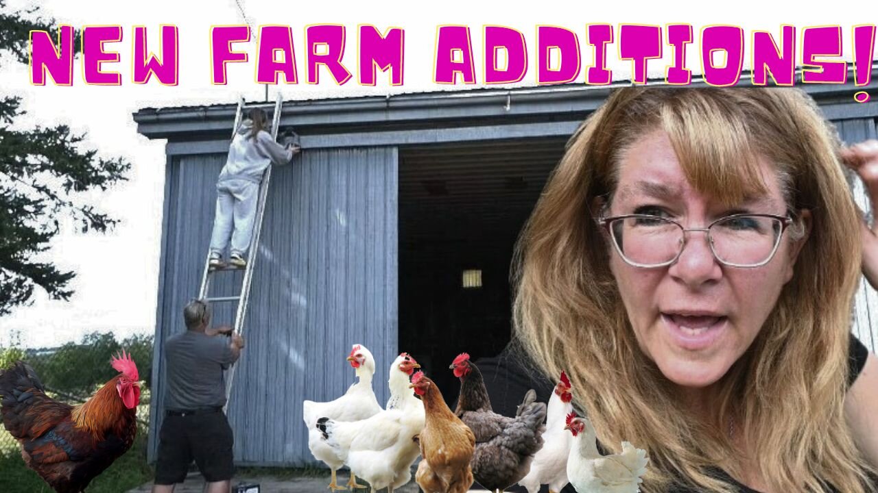 We Lost All Our Chickens And Some New Additions On The Farm!