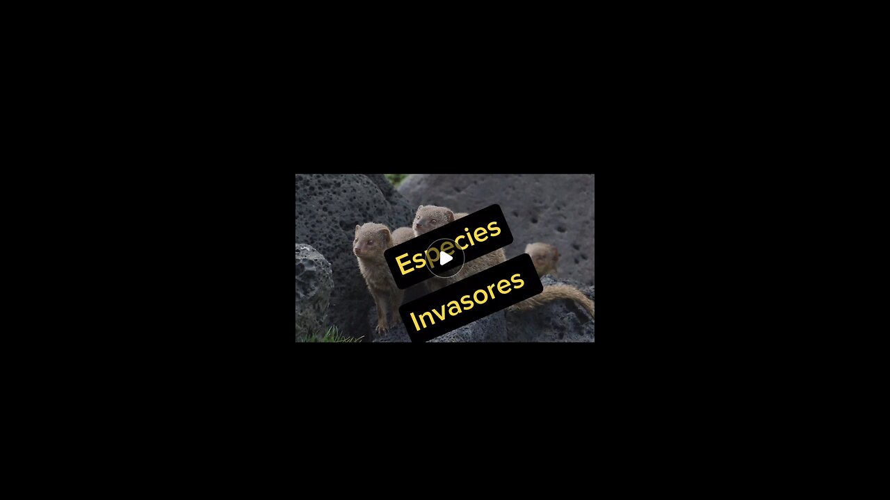 Especies Invasores