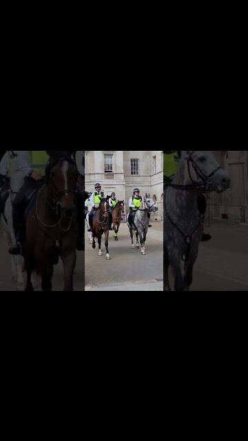 move aside for the police horses #horseguardsparade