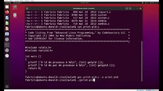 print-pid.c - Obtendo o ID de um processo e o ID de seu processo pai no Linux