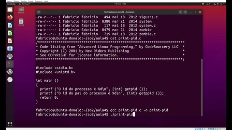 print-pid.c - Obtendo o ID de um processo e o ID de seu processo pai no Linux