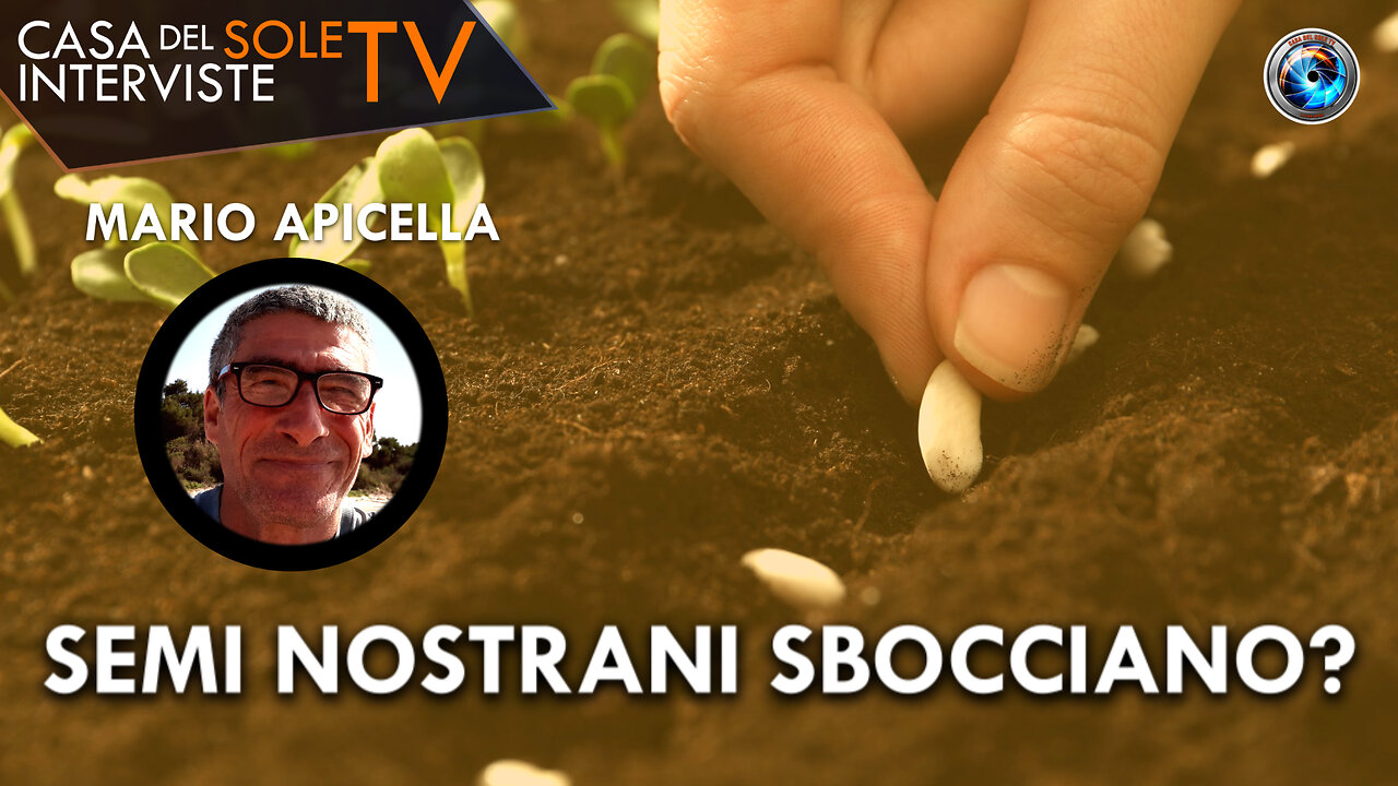 Mario Apicella: semi nostrani sbocciano?