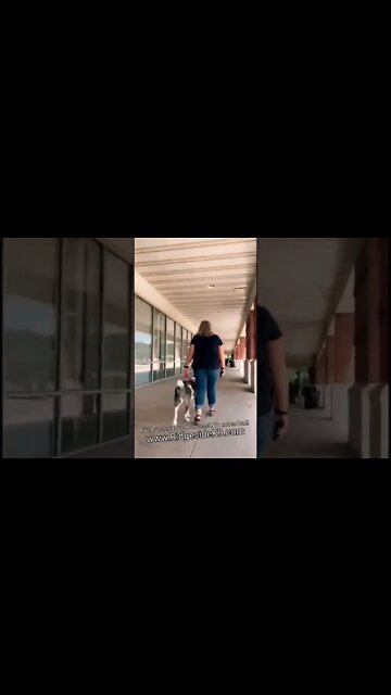 It's a New Day! Own it