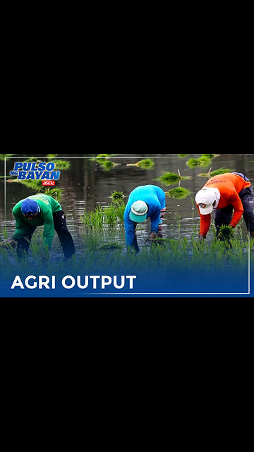 Agri output ng Pilipinas, bumaba ngayong 3rd quarter
