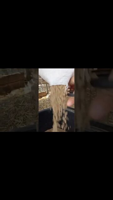 #shorts #2022 funny,prank,funjokes,dad jokes,funny memes,funny video,fun,laughing,funny animal,knock