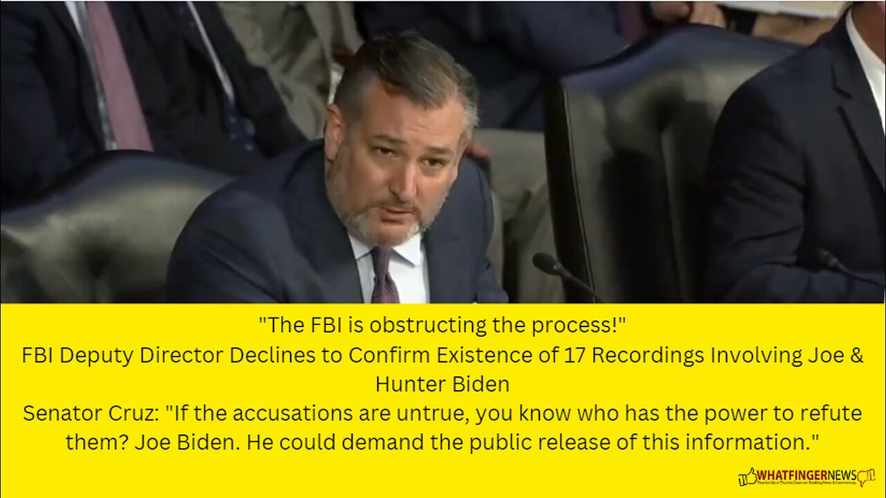 FBI Deputy Director Declines to Confirm Existence of 17 Recordings Involving Joe & Hunter Biden