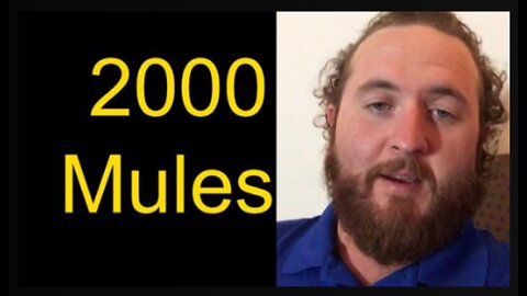 2000 Mules Has Changed My Outlook On EVERYTHING!!!!