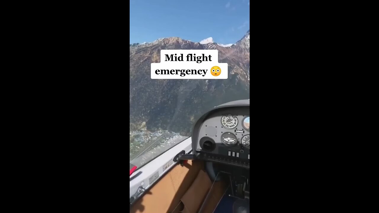 Pilot hits bird mid flight then this happens