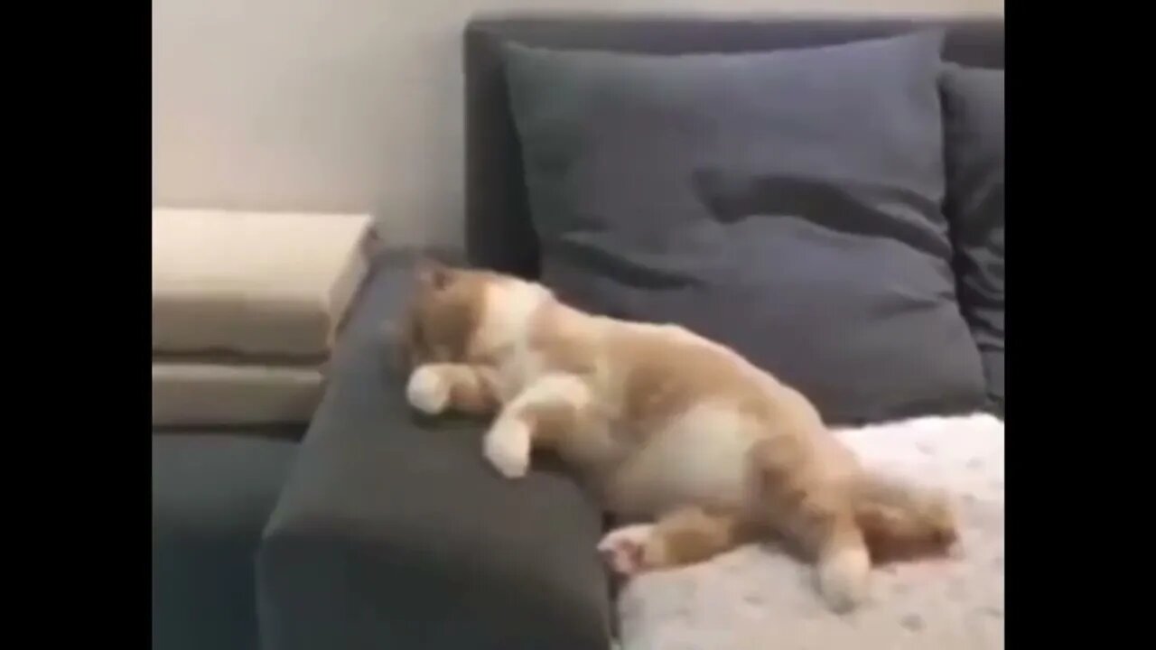 He might have crashed his bike