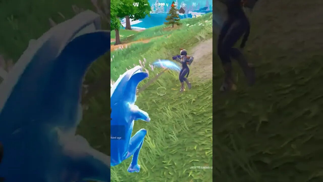 No Fear #gaming #epic #fortnite