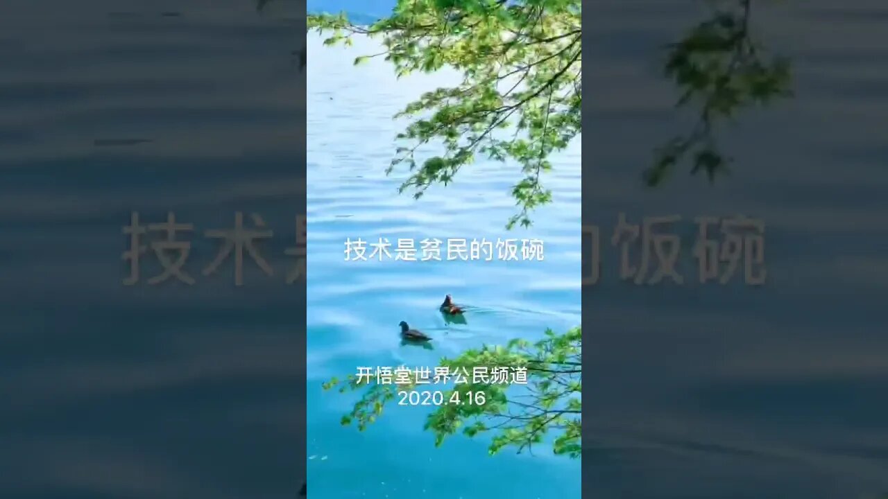 开悟堂世界公民频道 Kai wu tang world citizen channel