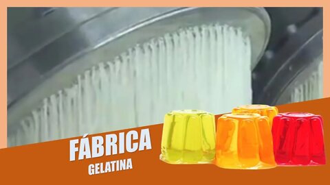 Como é Feito a Gelatina | Por Dentro da Fábrica