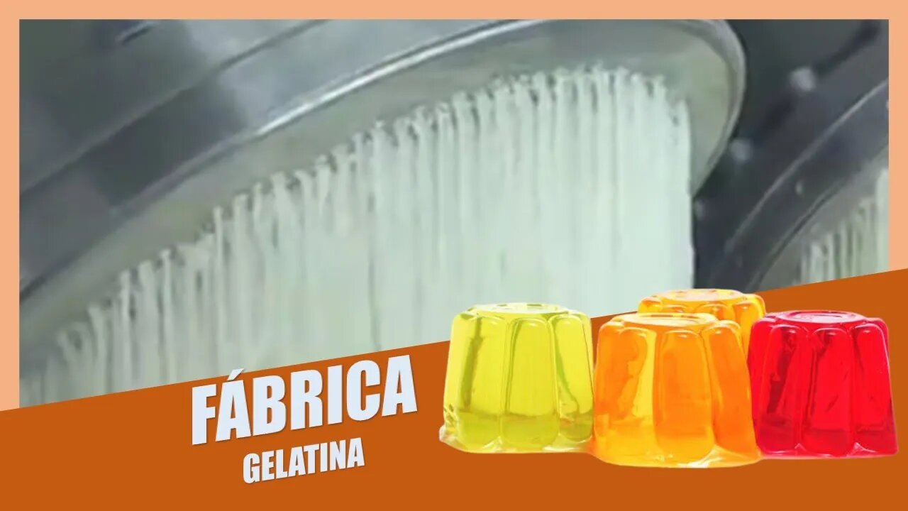 Como é Feito a Gelatina | Por Dentro da Fábrica