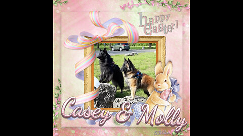 Woofs & Wags: Graphics for Our Furry Friends - Easter 2023