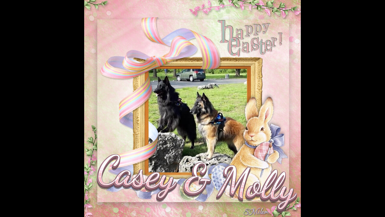 Woofs & Wags: Graphics for Our Furry Friends - Easter 2023