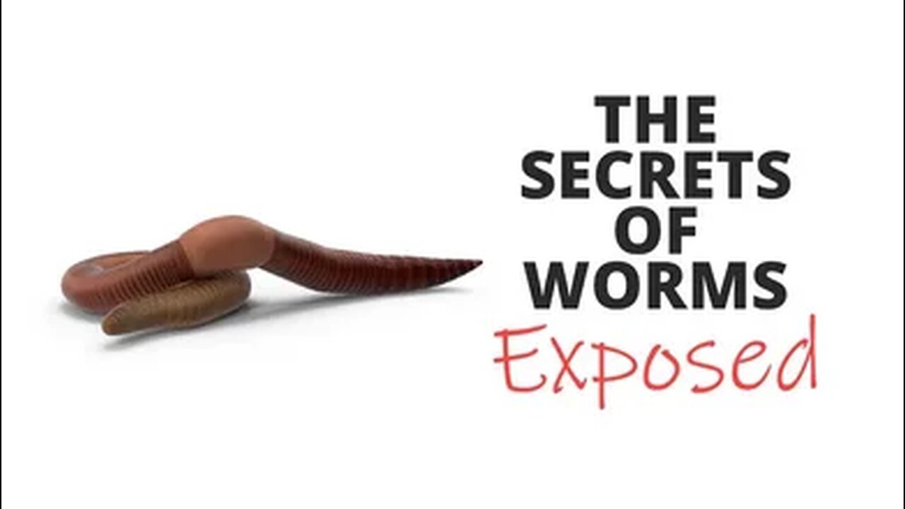 The SECRETS OF WORMS