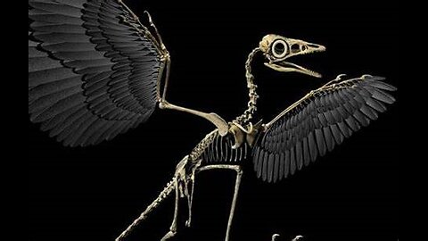 Winged-Flying Cryptid Terrorizes Baltimore