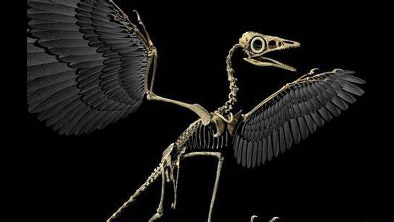 Winged-Flying Cryptid Terrorizes Baltimore