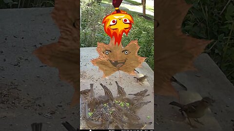 Legless Elemental Angry Ember Hates Creepy Leaves With Faces! 🍁😡🔥