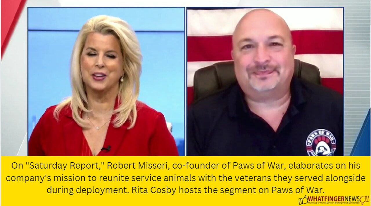 On "Saturday Report," Robert Misseri, co-founder of Paws of War, elaborates on his company's mission