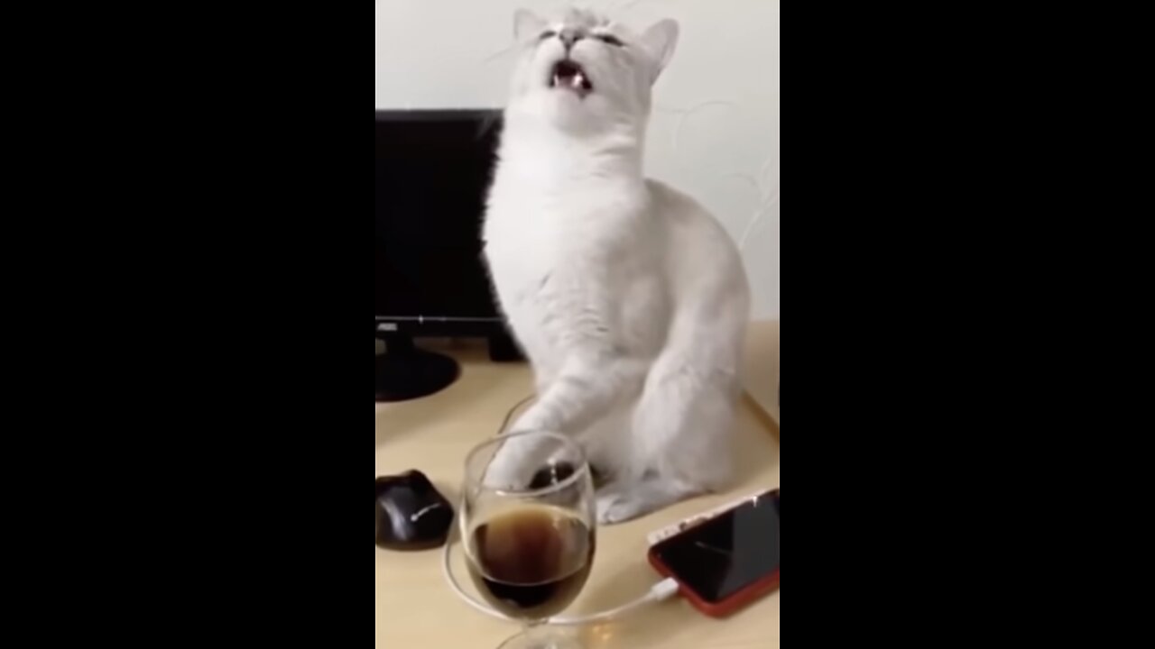 40 INSTANT REGRET MOMENTS CAUGHT ON CAMERA! NEW